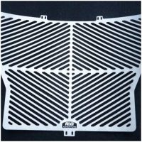 R&G RACING Stainless Steel Radiator guard - BMW S1000R