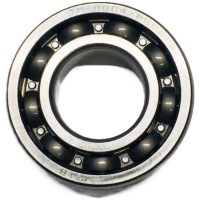 Roller Bearing 20x42x12