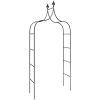 Rosenbågar 2 st svart 120x38x260 cm stål vidaXL – miniatyr 3