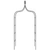 Rosenbågar 2 st svart 120x38x260 cm stål vidaXL – miniatyr 4