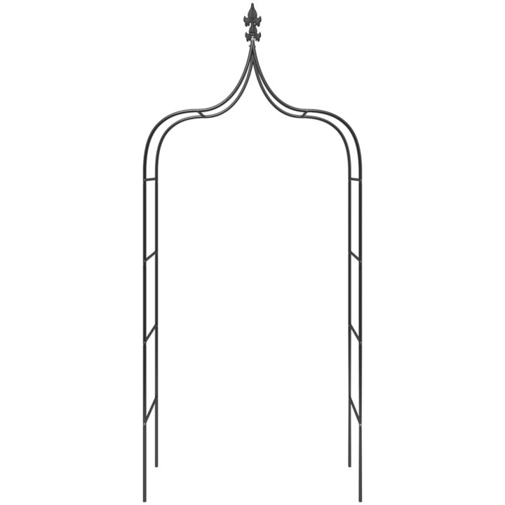Rosenbågar 2 st svart 120x38x260 cm stål vidaXL – bild 4