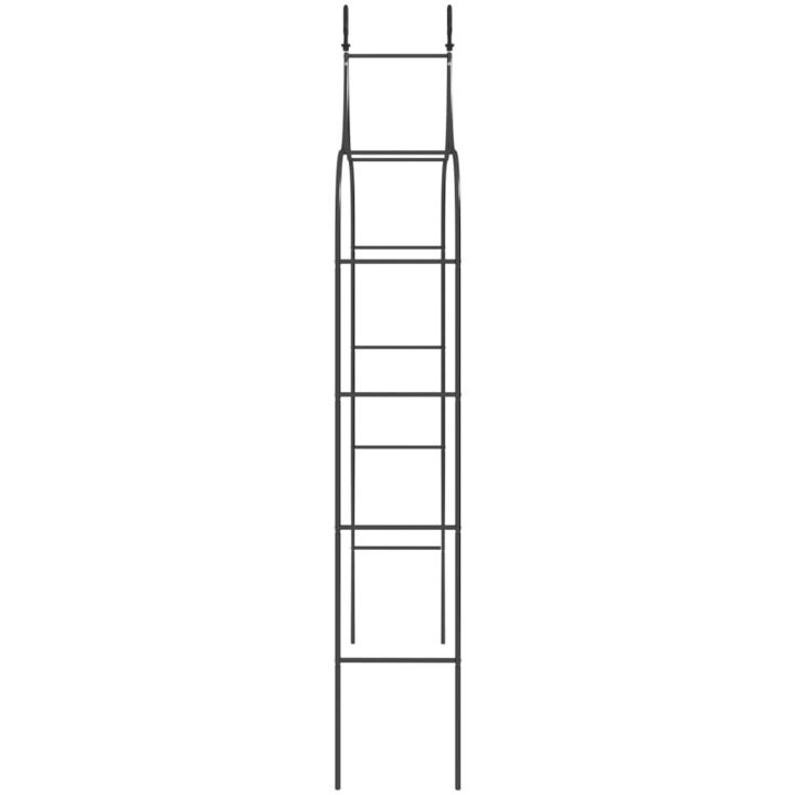 Rosenbågar 2 st svart 120x38x260 cm stål vidaXL – bild 5