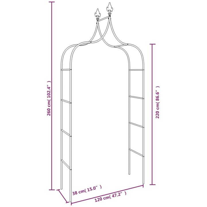 Rosenbågar 2 st svart 120x38x260 cm stål vidaXL – bild 7