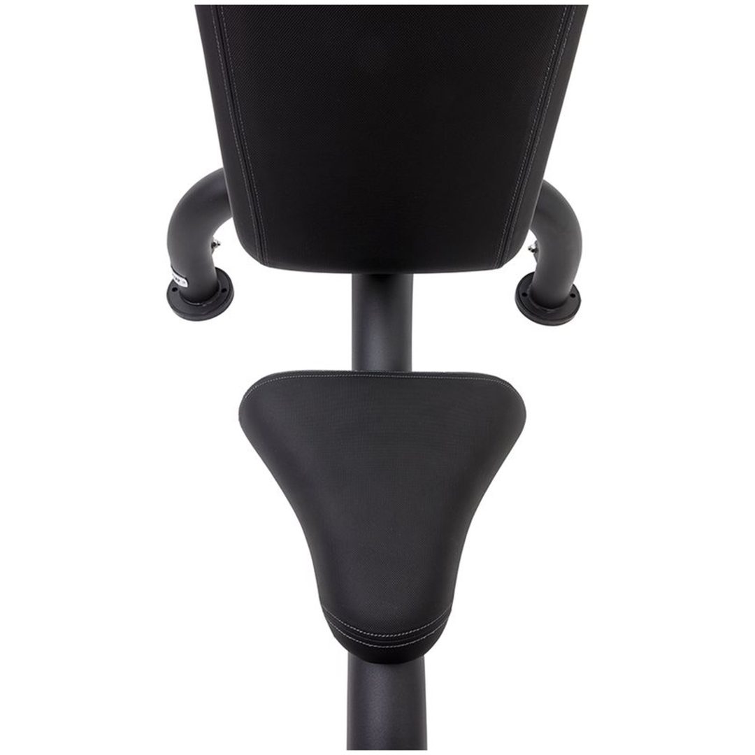 Royal utility bench - Master Master Fitness – bild 2