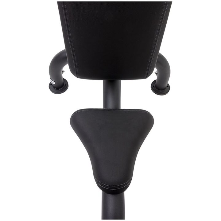 Royal utility bench - Master Master Fitness – bild 2