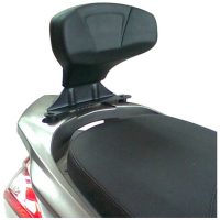 Ryggstöd TB82 Givi