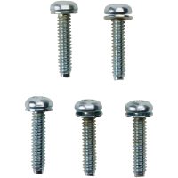 SCREW EFI MNT(1081A) 5PK