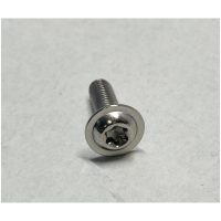 Screw Iso 7380 Torx T-25