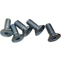 SCREWS F RTR 5/16-18CS