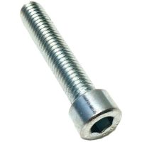 Securing Screw M8X40