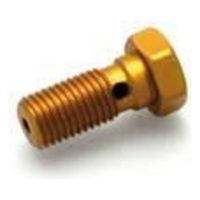 SINGLE SCREW M10X 1.25 GOLD