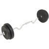 Skivstång set 30 kg vidaXL – miniatyr 2