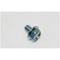 Skruv Emb D16 H M8x1.25-12 Peugeot (Original)