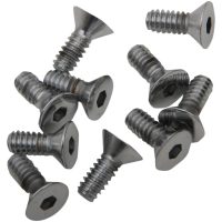 Skruv Försänkt 20 mm Krom DRAG SPECIALTIES