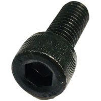 Skruv Insex M8x1,25-20