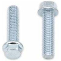 Skruv M6x1x25mm Silver BOLT