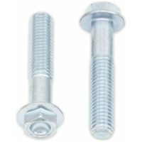 Skruv M8x1,25x45mm Silver BOLT
