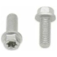 Skruv Sexkant\/Torx M6x1x16mm Grå BOLT