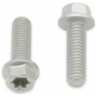 Skruv Sexkant/Torx M6x1x20mm Grå BOLT