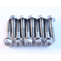 Skruvkit titan SCAR