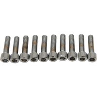 Skruvset Replacement Socket-Head Krom Polerad Silver DRAG SPECIALTIES