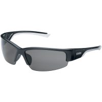 Skyddsglasögon 9231 Polavision UVEX