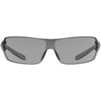Skyddsglasögon Superfit Eco Grå Guardio