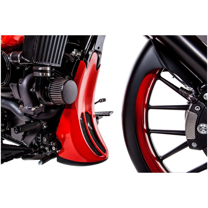 Skyddskåpa Chin Spoiler Obehandlad TRASK COVER FRAME 98-08 FL – bild 2