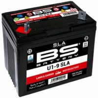 SLA Battery Maintenance Free Factory Activated - U1-9 BS Battery