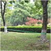 Slackline 15 m x 50 mm 150 kg grön vidaXL – miniatyr 6