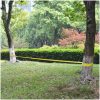 Slackline 15 m x 50 mm 150 kg gul vidaXL – miniatyr 1