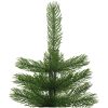 Smal plastgran med fot 210 cm PE vidaXL 210 x 56 cm – miniatyr 3