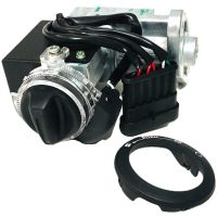 Smartkey Switch + Strip - Peugeot Original