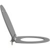 Snabbfäste Toalettstol med Mjukt Lock Duroplast Grå vidaXL 45.5 x 37.5 x 3.8 cm – miniatyr 6