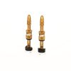 Snabbfyllningsventil Plasma Brons E*THIRTEEN – miniatyr 1