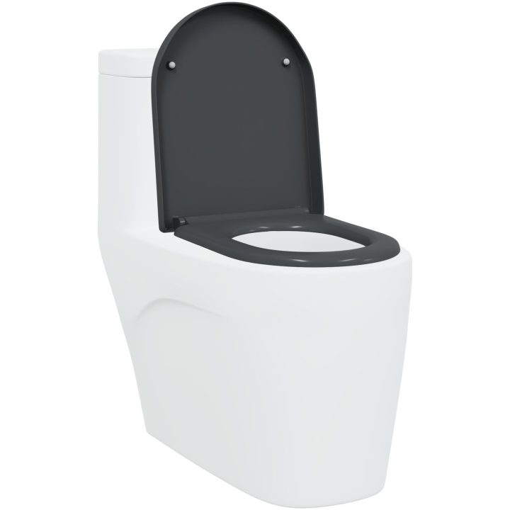 Snabbkoppling Toalettlock med Mjukstängning Duroplast Antracit vidaXL Standard – bild 3