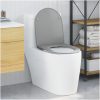 Snabbkoppling Toalettsits med Soft Close i Duroplast, Grå vidaXL 44 x 36 x 3.4 cm – miniatyr 1