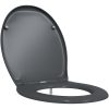 Snabbkoppling Toalettstol med Mjuk Stängning Duroplast Antracit vidaXL 37 x 45 x 4 cm – miniatyr 2