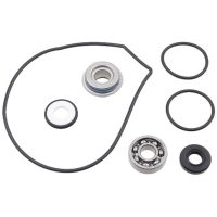 Sno-X Reparationssats vattenpump Yamaha 500
