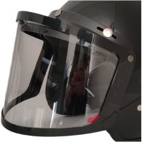 Snowpeople Basic clear Double visor