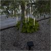 Solcells-ljusslinga Bubbly Light-chain Transparent Star Trading – miniatyr 5