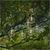 Solcells-ljusslinga Chania Transparent Star Trading – miniatyr 7