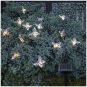 Star Trading Solcells-ljusslinga Papillon Transparent