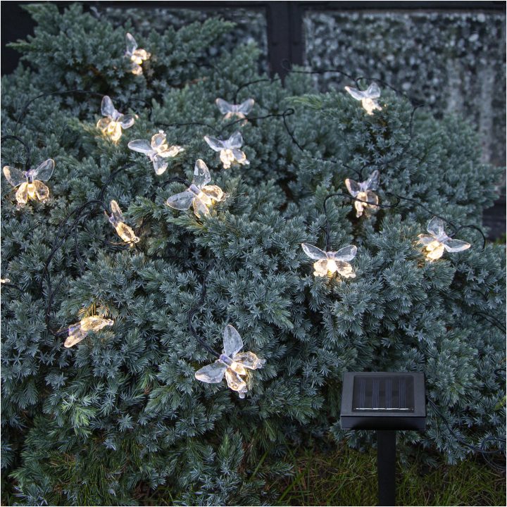Solcells-ljusslinga Papillon Transparent Star Trading – bild 5