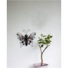 Solcellsdekoration Butterfly Svart Star Trading – miniatyr 2