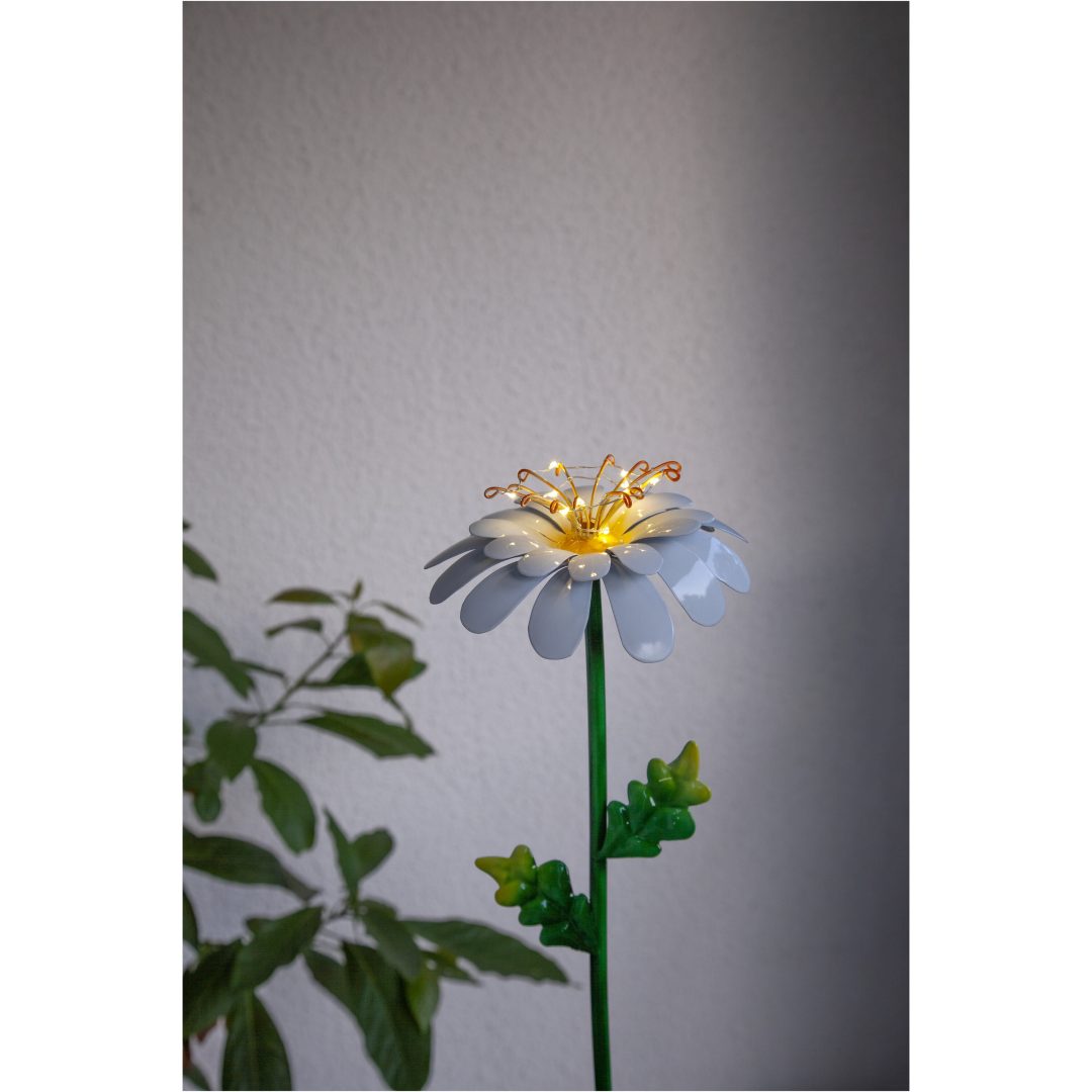 Solcellsdekoration Daisy Vit Star Trading – bild 10
