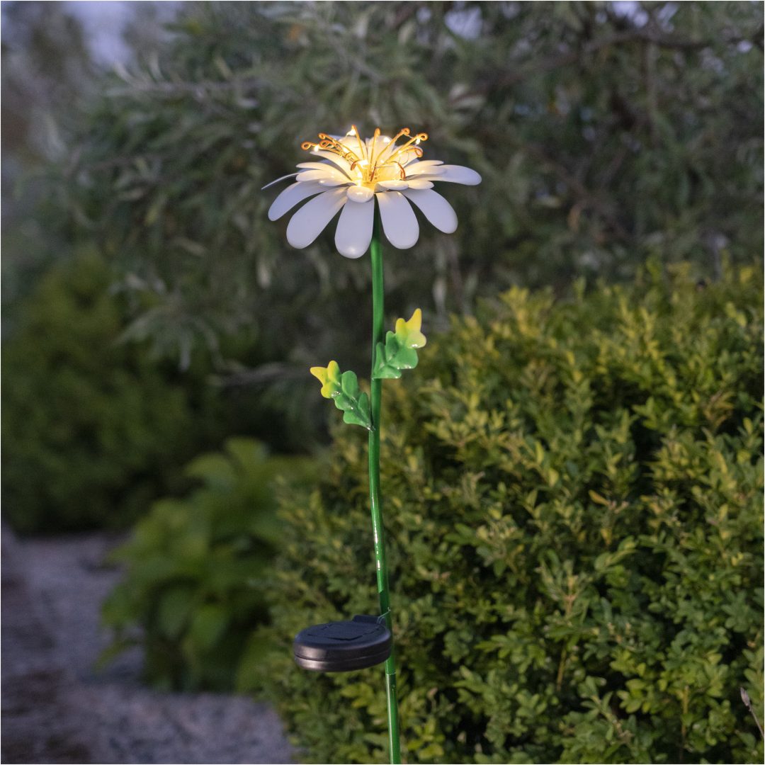 Solcellsdekoration Daisy Vit Star Trading – bild 9