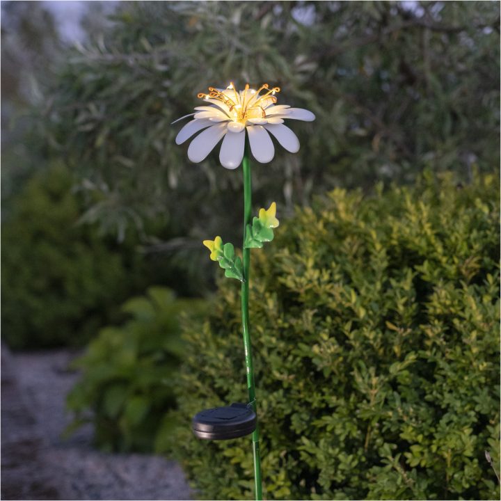 Solcellsdekoration Daisy Vit Star Trading – bild 9