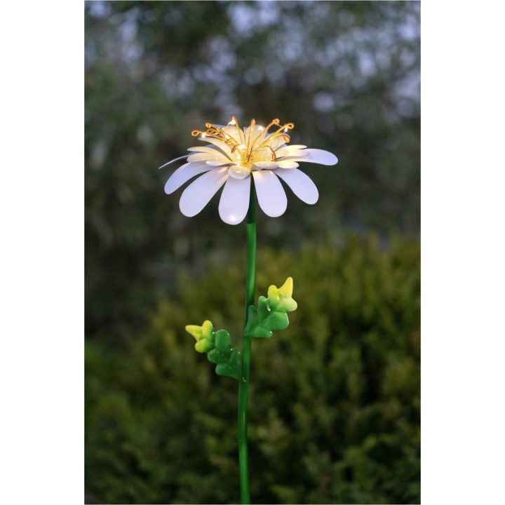 Solcellsdekoration Daisy Vit Star Trading – bild 7