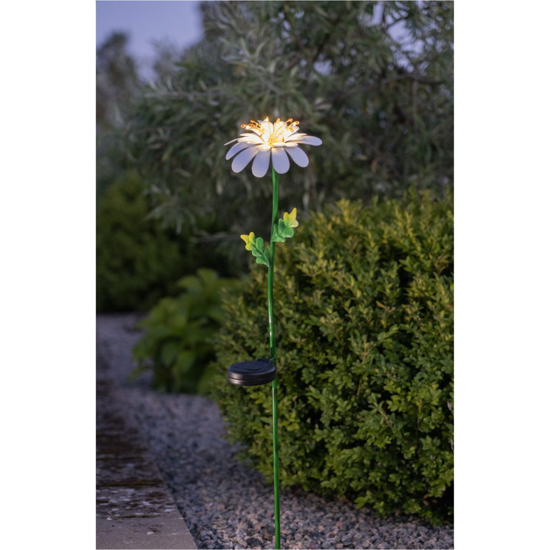 Solcellsdekoration Daisy Vit Star Trading – bild 6